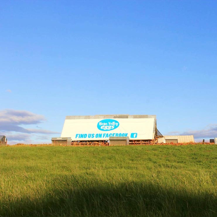 Vinyl Banner Fixed-07